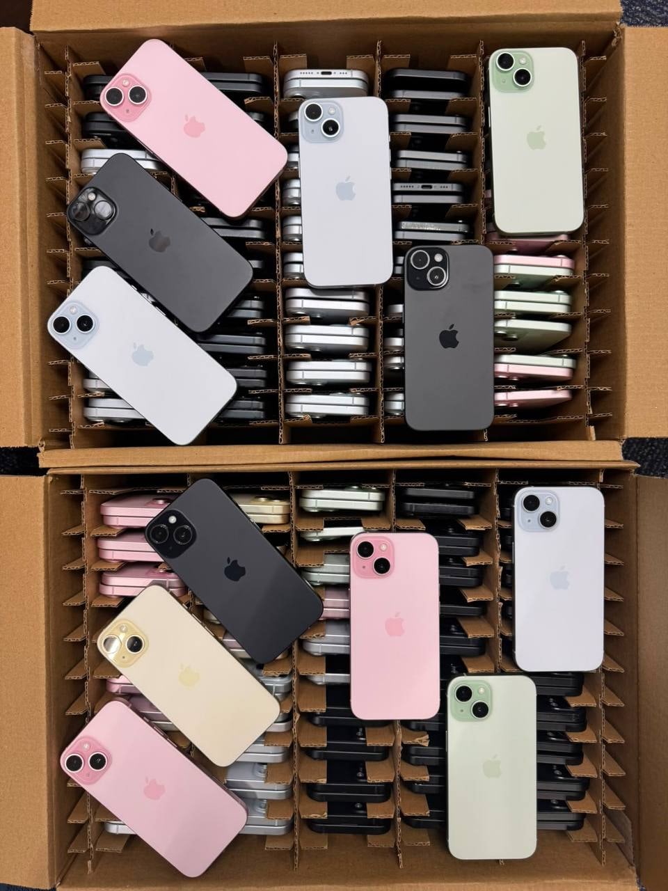 Deux cartons alvéolés remplis d'iPhone, plusieurs coloris posés dessus.