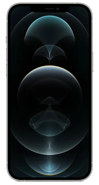 Visuel du modèle iPhone 12 Pro Max