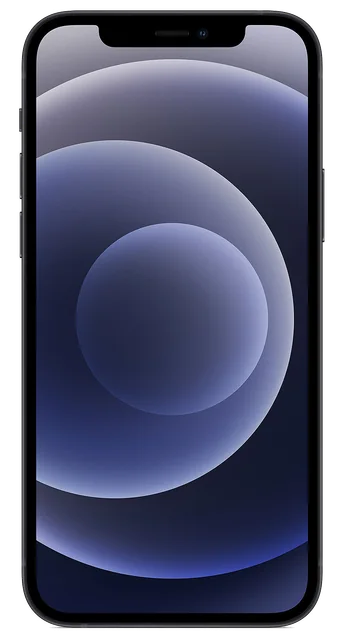 Visuel du modèle iPhone 12